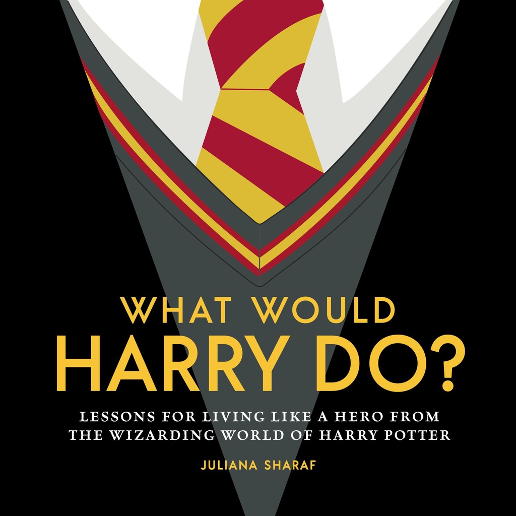 WHAT WOULD HARRY DO LESSONS WIZARDING WORLD HC