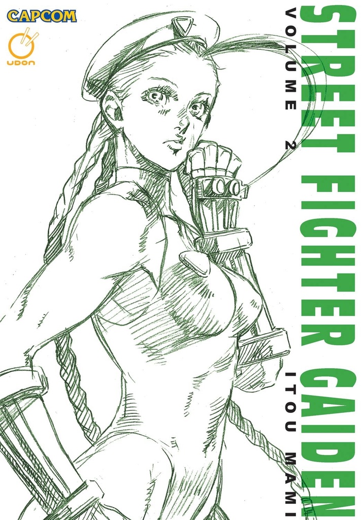 STREET FIGHTER GAIDEN 02