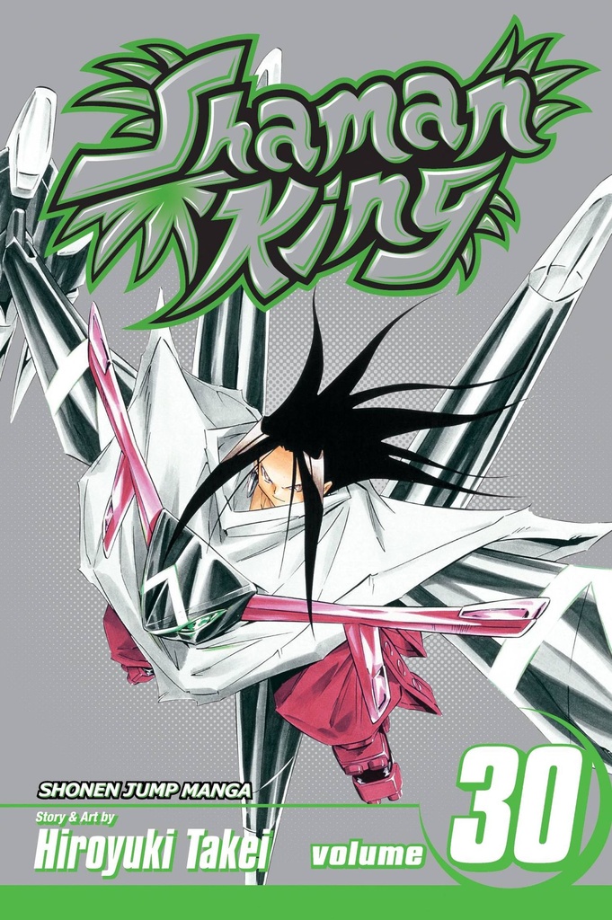 SHAMAN KING 30