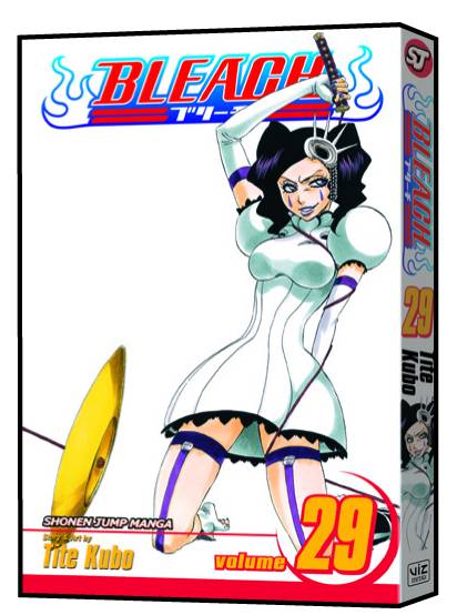 BLEACH 29