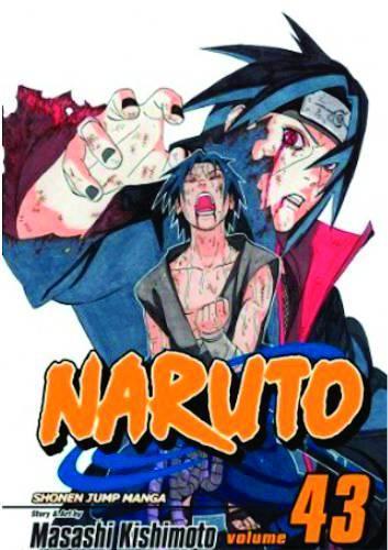 NARUTO 43