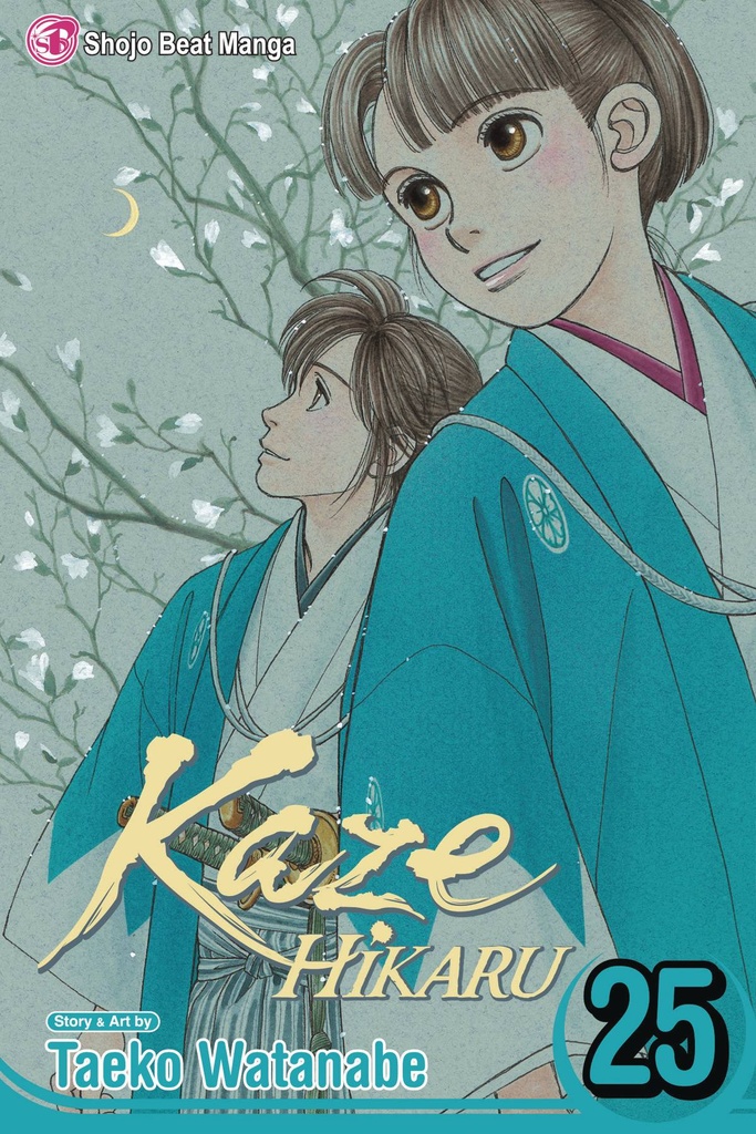 KAZE HIKARU 25