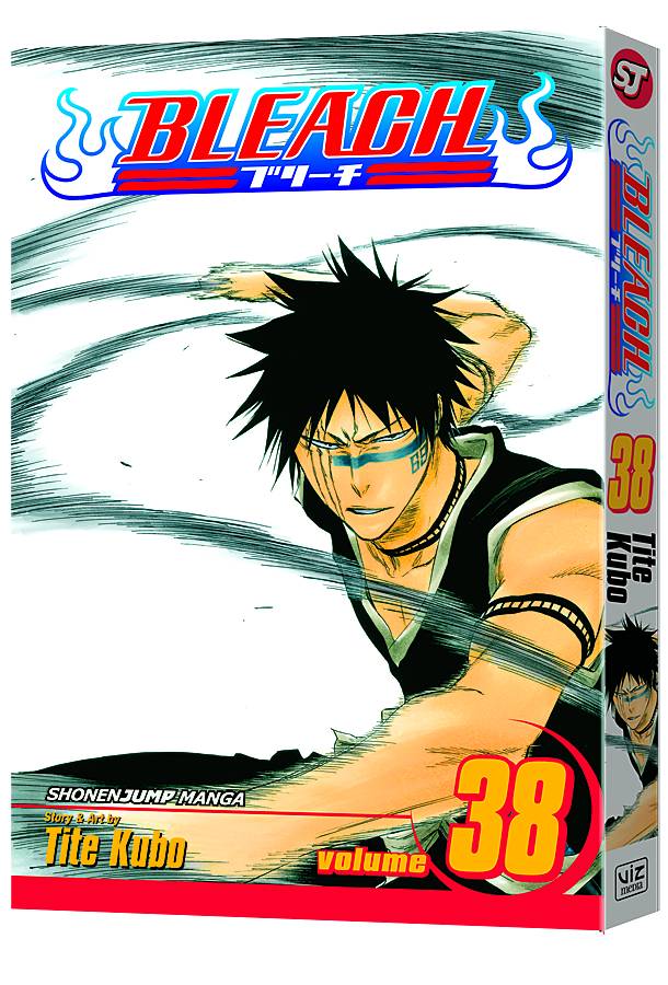 BLEACH 38