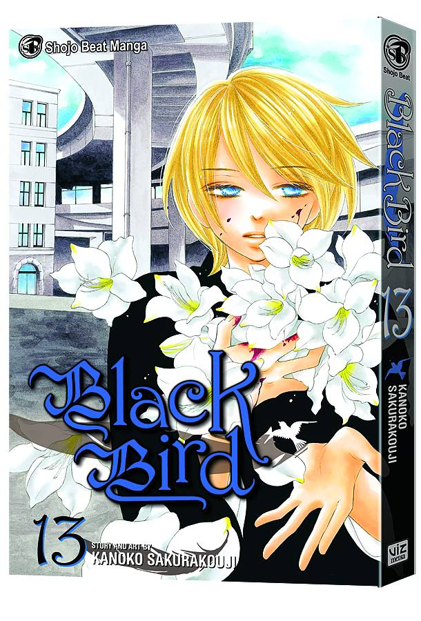 BLACK BIRD 13