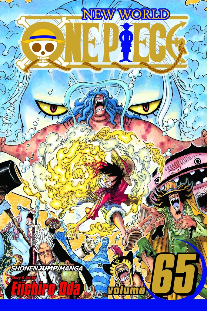 ONE PIECE 65