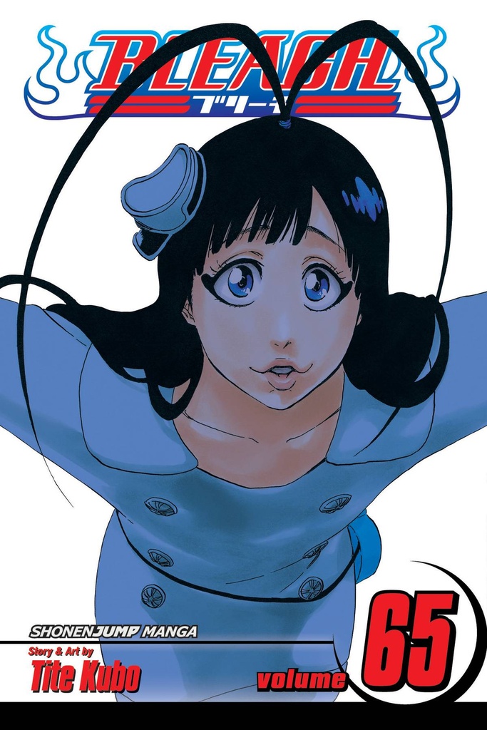 BLEACH 65
