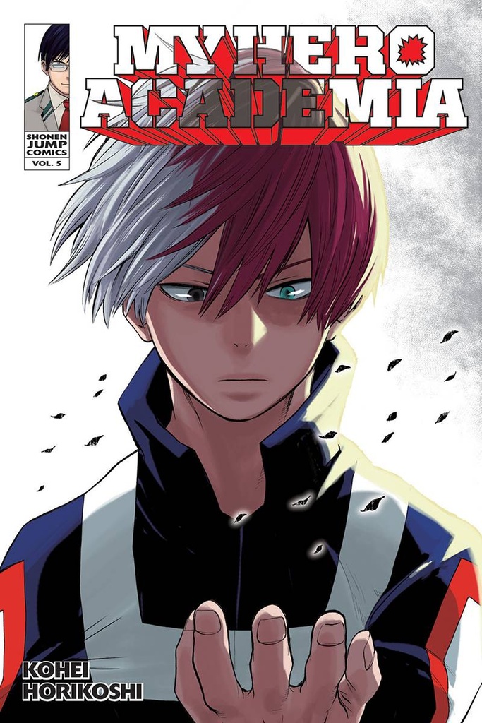 MY HERO ACADEMIA 05