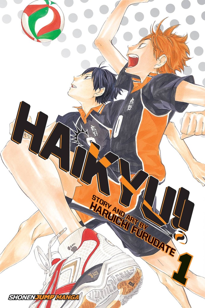 HAIKYU 01