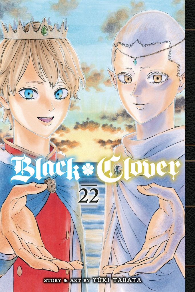BLACK CLOVER 22