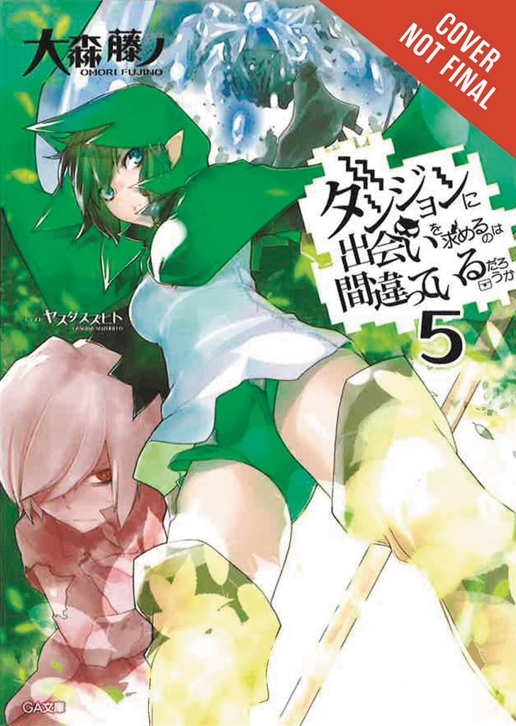 IS WRONG TRY PICK UP GIRLS IN DUNGEON NOVEL 05