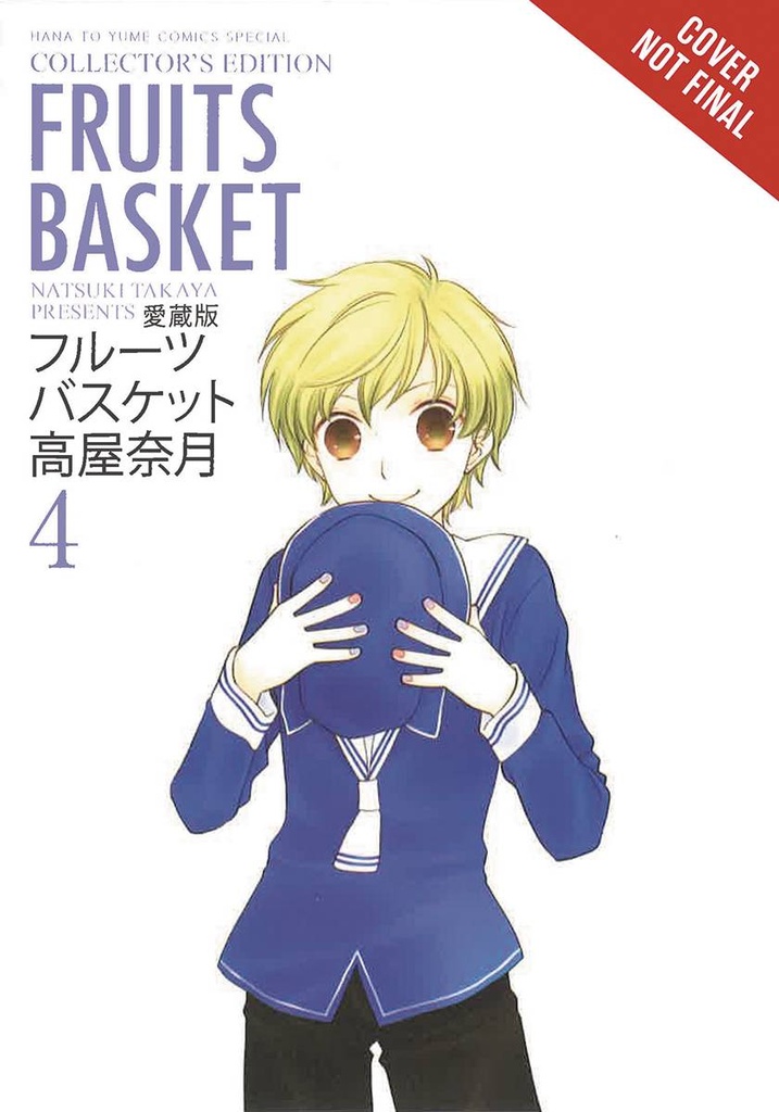 FRUITS BASKET COLLECTORS ED 04
