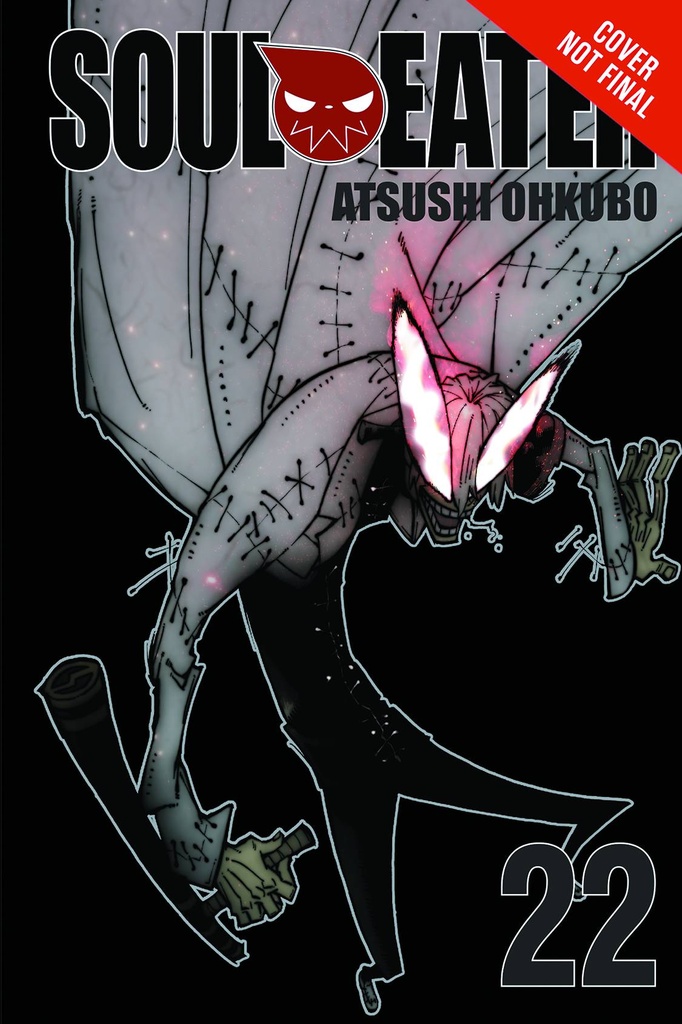 SOUL EATER 22