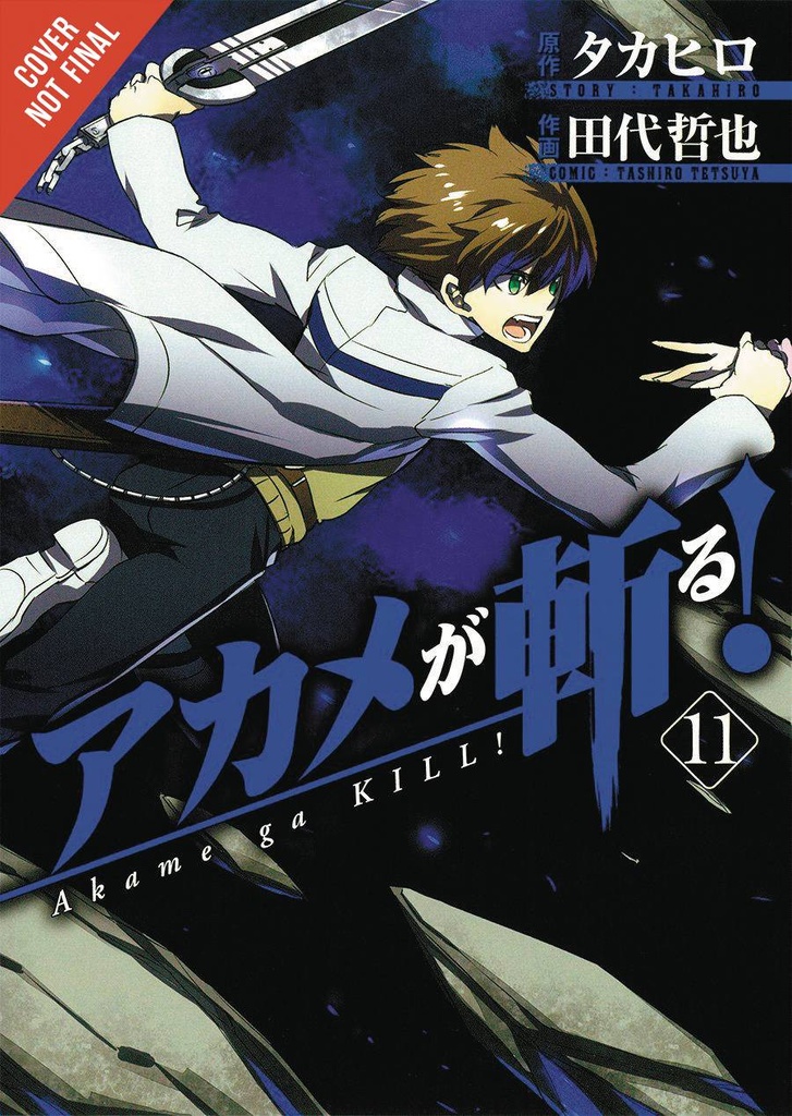 AKAME GA KILL 11