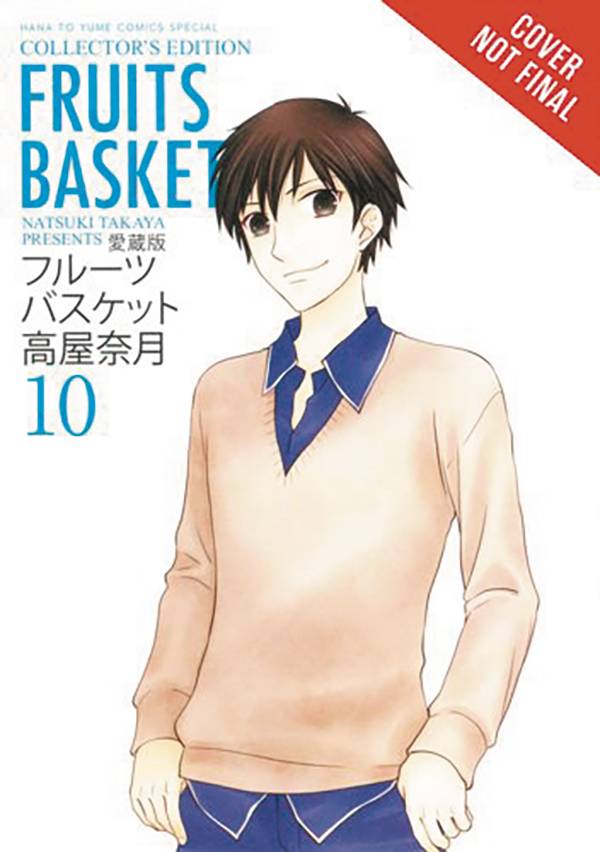 FRUITS BASKET COLLECTORS ED 10