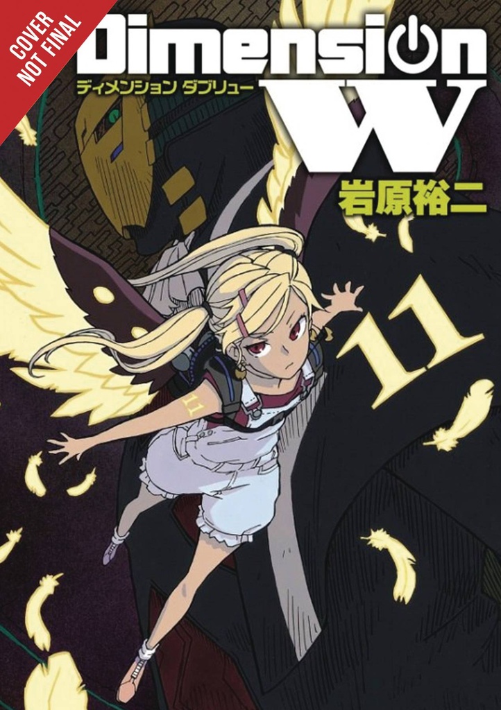 DIMENSION W 11