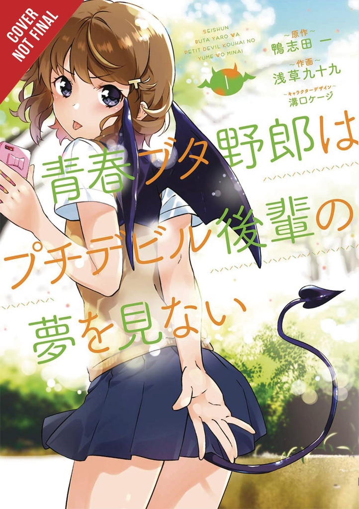 RASCAL DOES NOT DREAM PETITE DEVIL KOUHAI