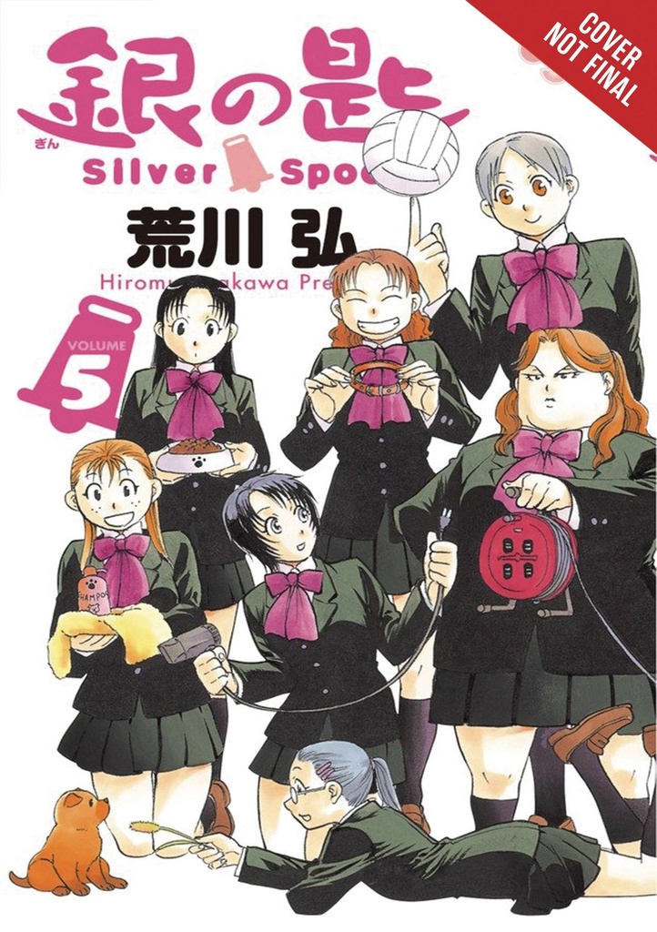 SILVER SPOON 05