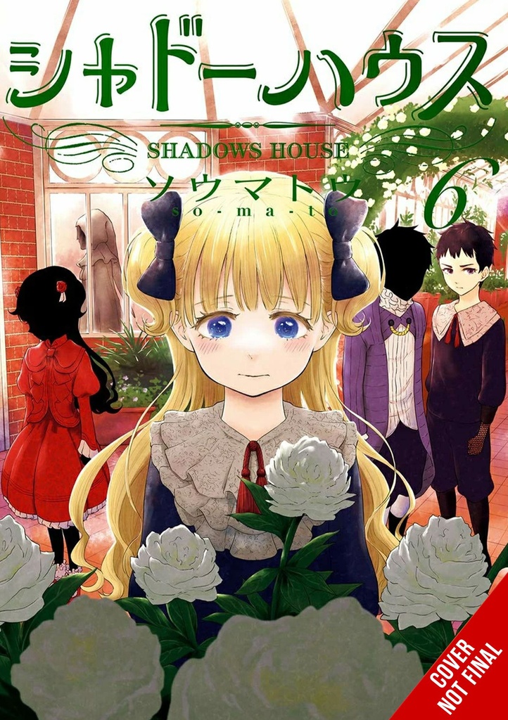 SHADOWS HOUSE 06