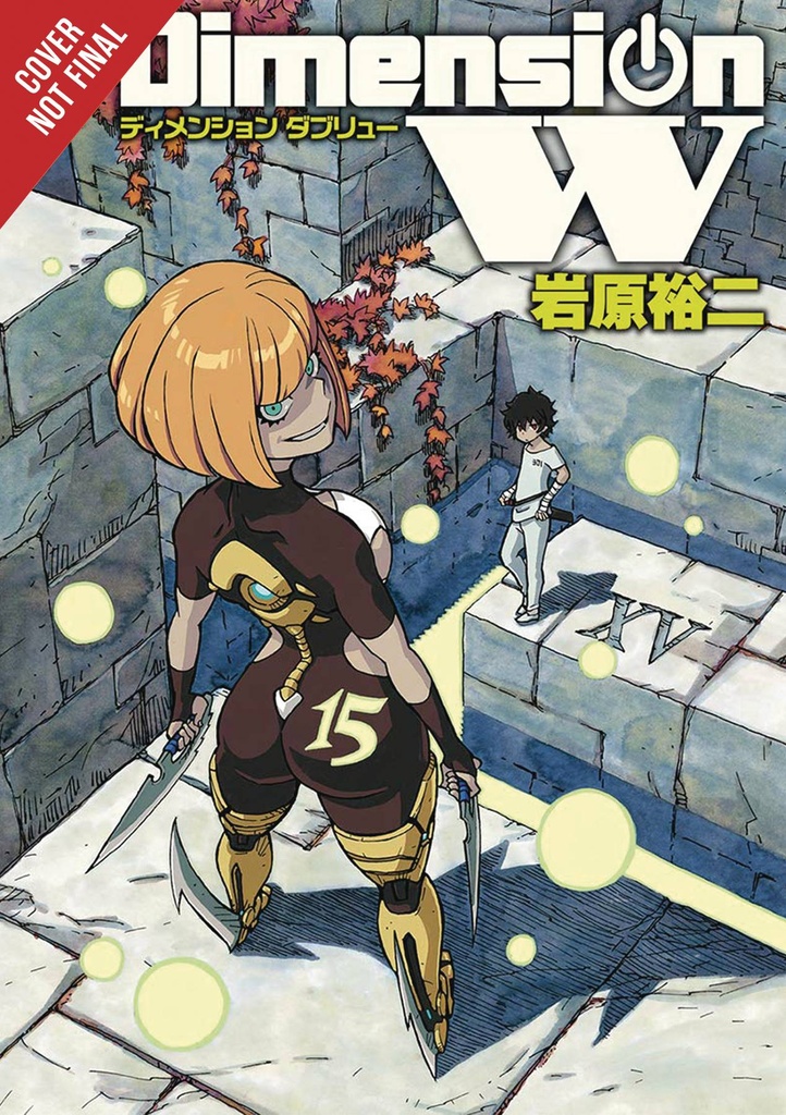 DIMENSION W 15