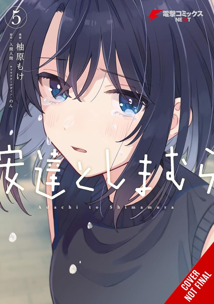 ADACHI AND SHIMAMURA 05