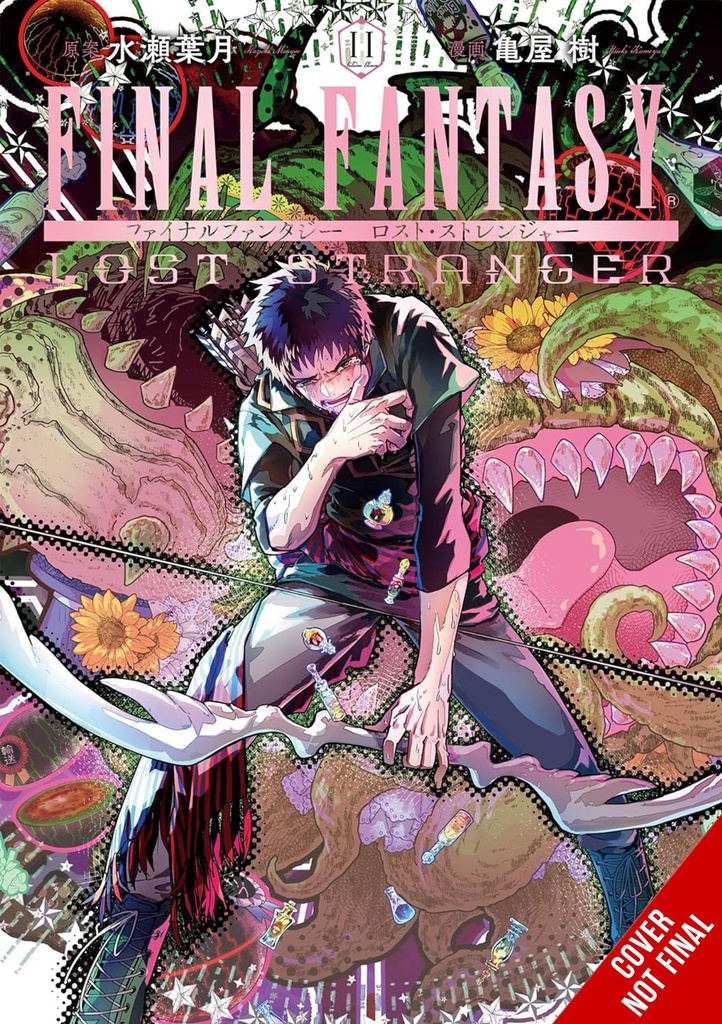 FINAL FANTASY LOST STRANGER 11