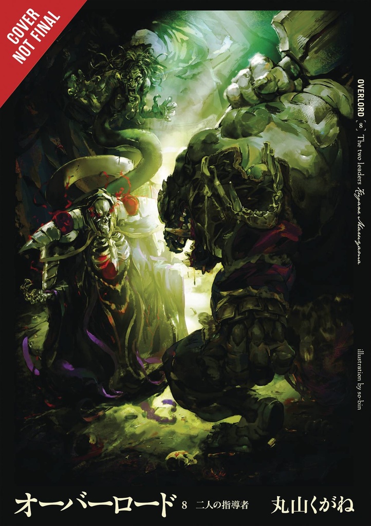 OVERLORD LIGHT NOVEL HC 08