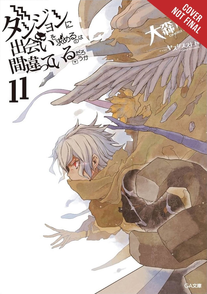 IS WRONG PICK UP GIRLS DUNGEON NOVEL 11