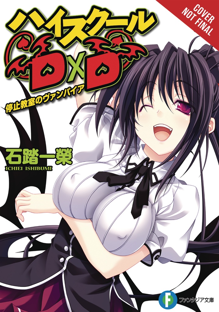 HIGH SCHOOL DXD LIGHT NOVEL 04