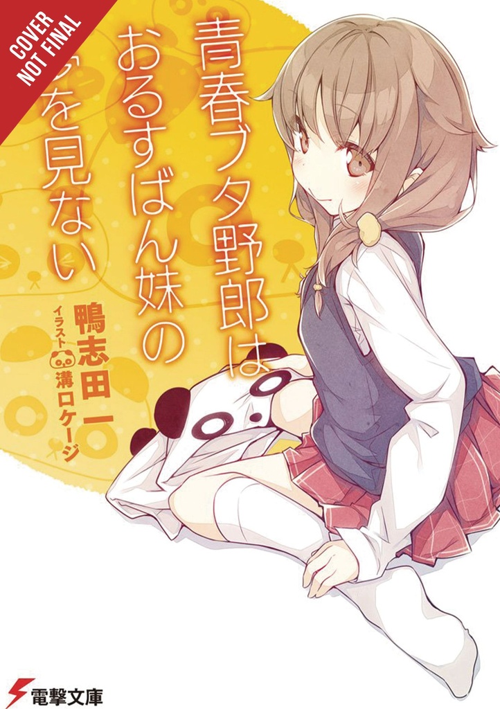 RASCAL DOES NOT DREAM OF HOME ALONE SISTER LIGHT NOVEL