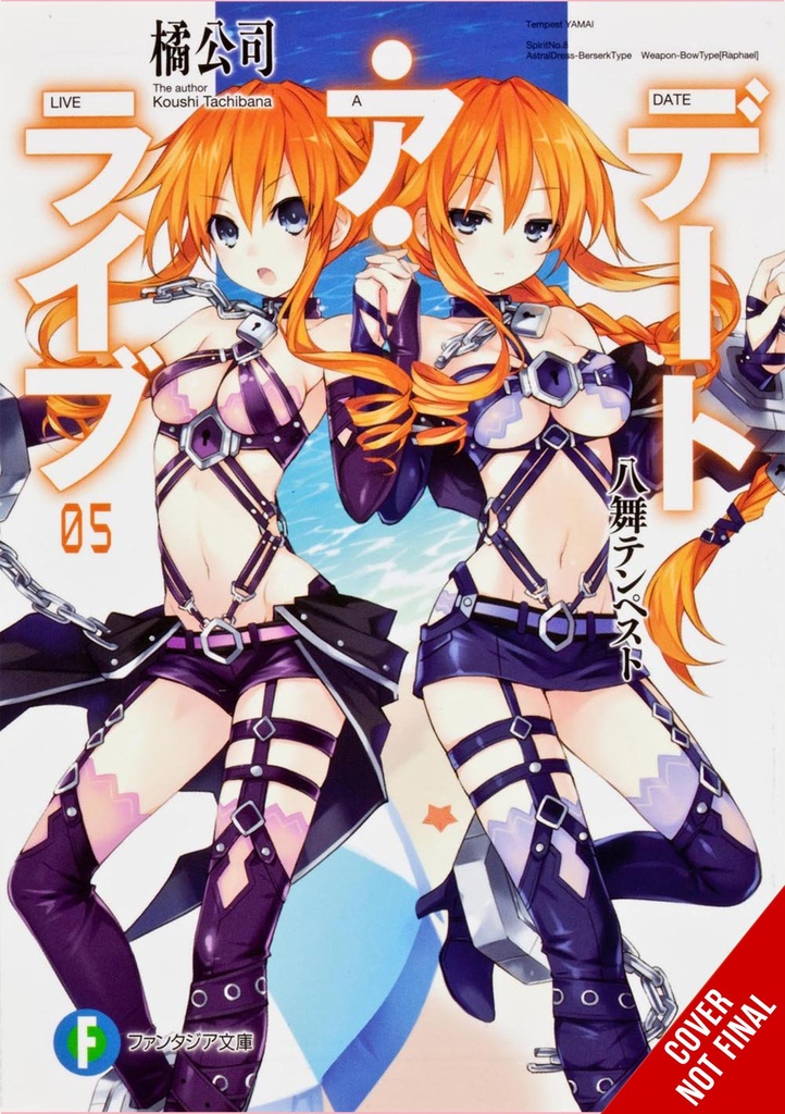 DATE A LIVE LIGHT NOVEL 05