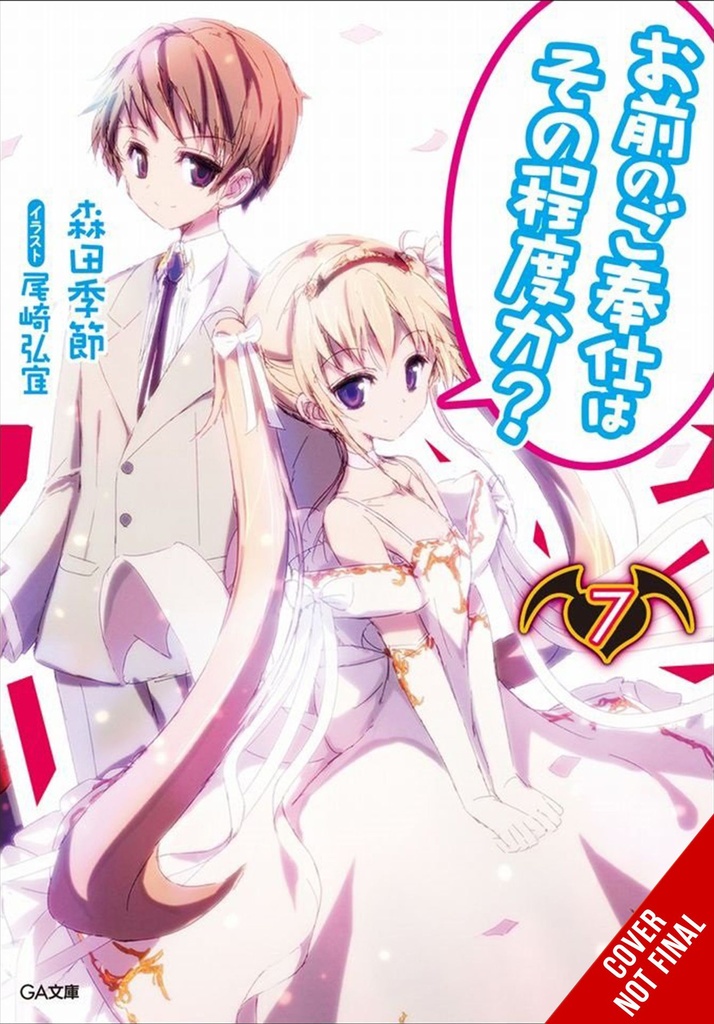 YOU CALL THAT SERVICE LIGHT NOVEL 07