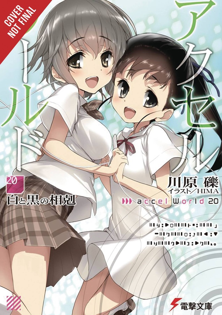 ACCEL WORLD LIGHT NOVEL 20