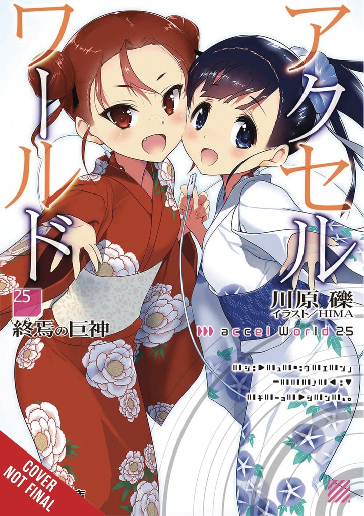 ACCEL WORLD LIGHT NOVEL 25