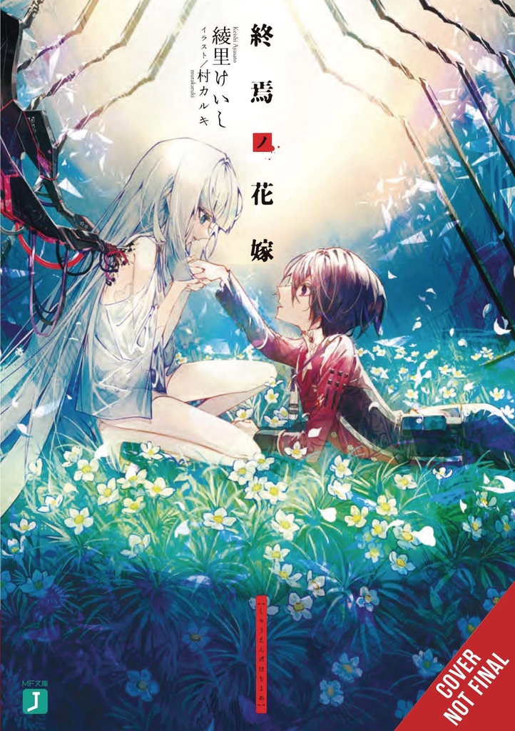 BRIDE OF DEMISE LIGHT NOVEL 01