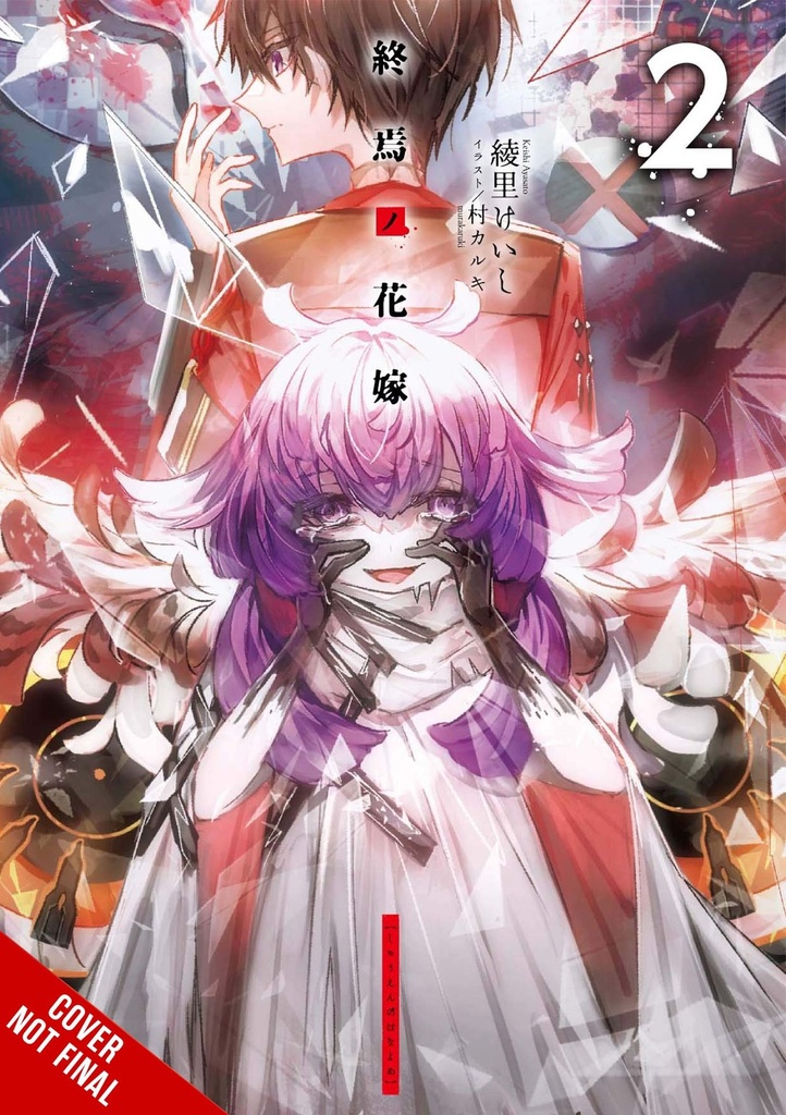 BRIDE OF DEMISE LIGHT NOVEL 02