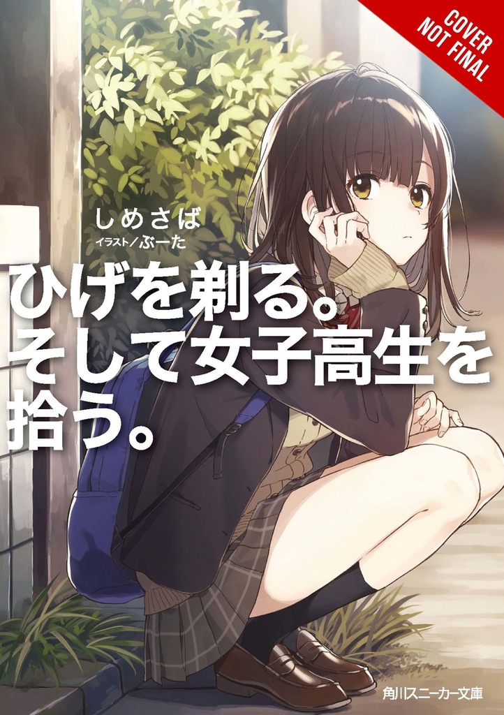 HIGEHIRO AFTER REJECTED & HIGH SCHOOL RUNAWAY LN 01