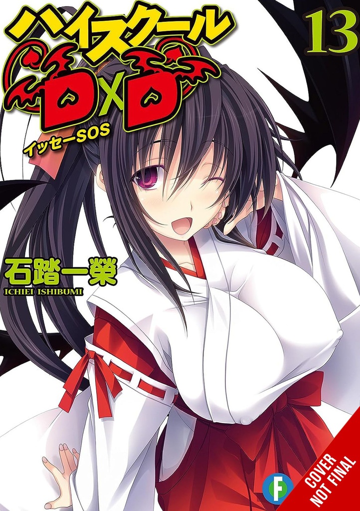 HIGH SCHOOL DXD LIGHT NOVEL 13