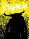 De storm