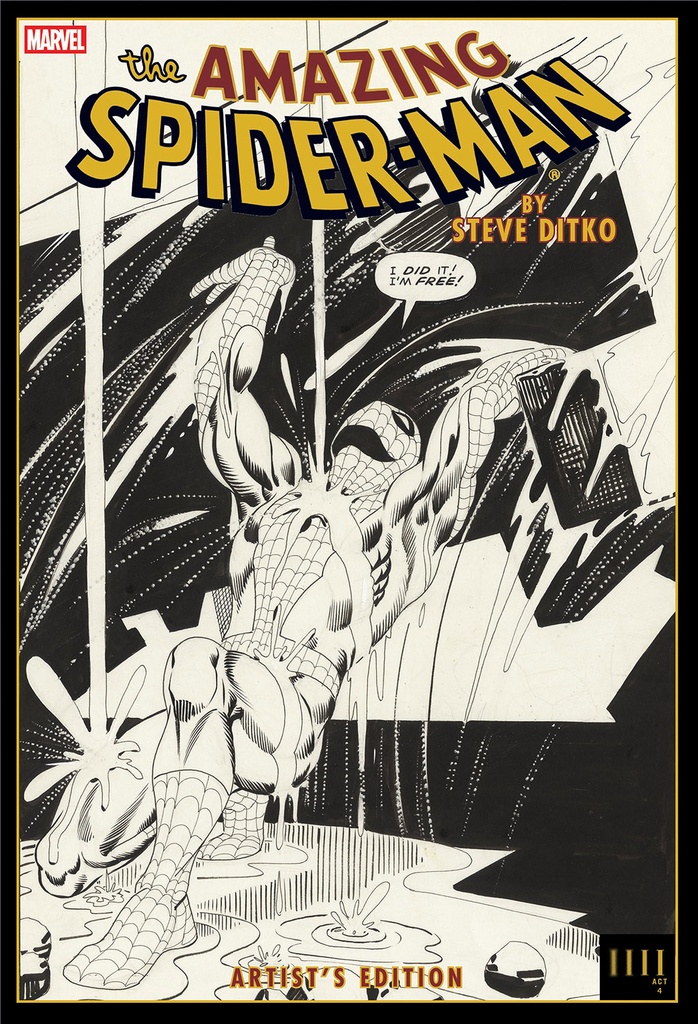 AMAZING SPIDER MAN BY STEVE DITKO ARTISTS ED HC RAIN CVR