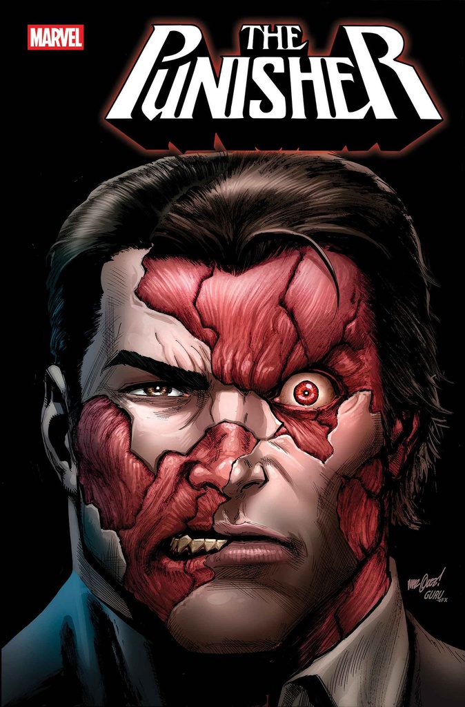 PUNISHER 2
