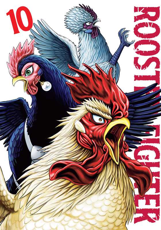Rooster Fighter 10