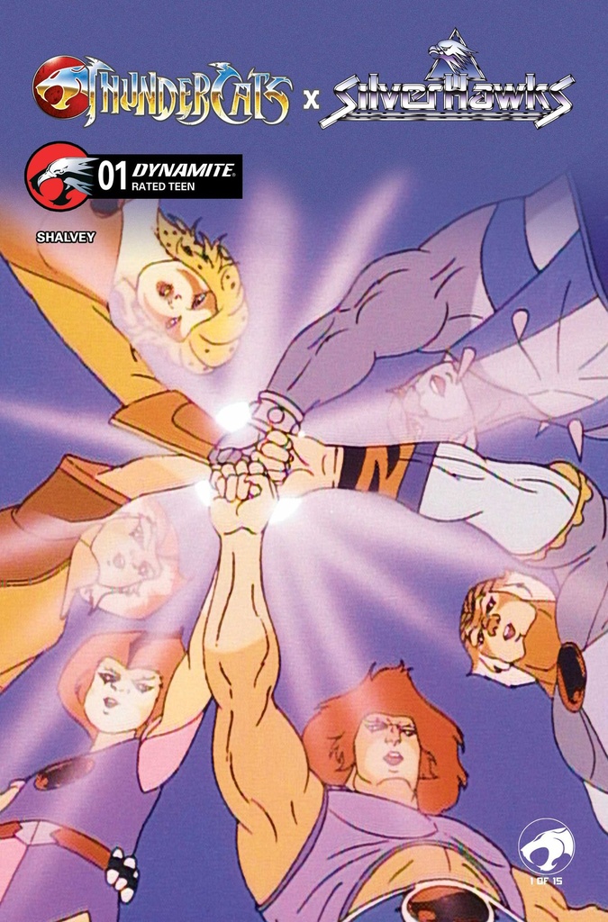 THUNDERCATS X SILVERHAWKS 1 CVR E ANIMATION ART VAR