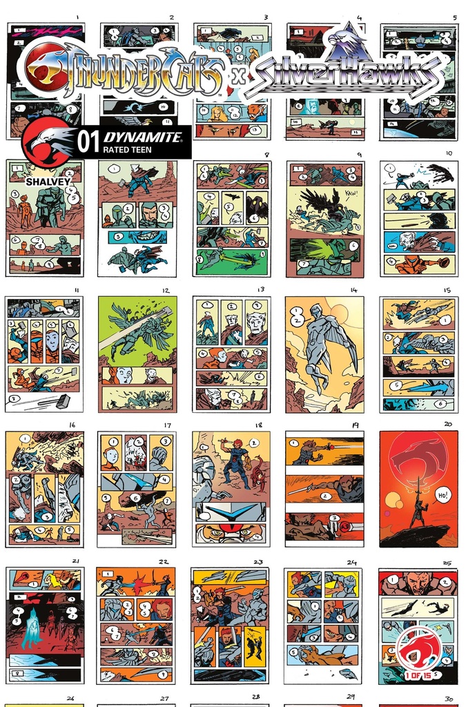THUNDERCATS X SILVERHAWKS 1 CVR I INC 1:10 DECLAN SHALVEY LA