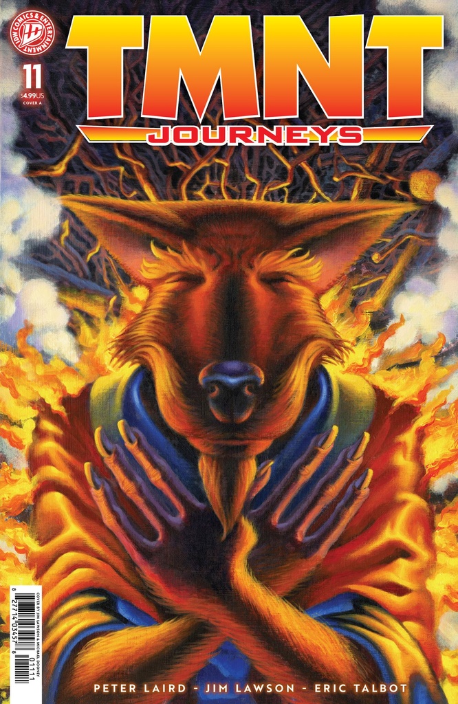 TMNT JOURNEYS 11 CVR A (DOONEY & LAWSON)