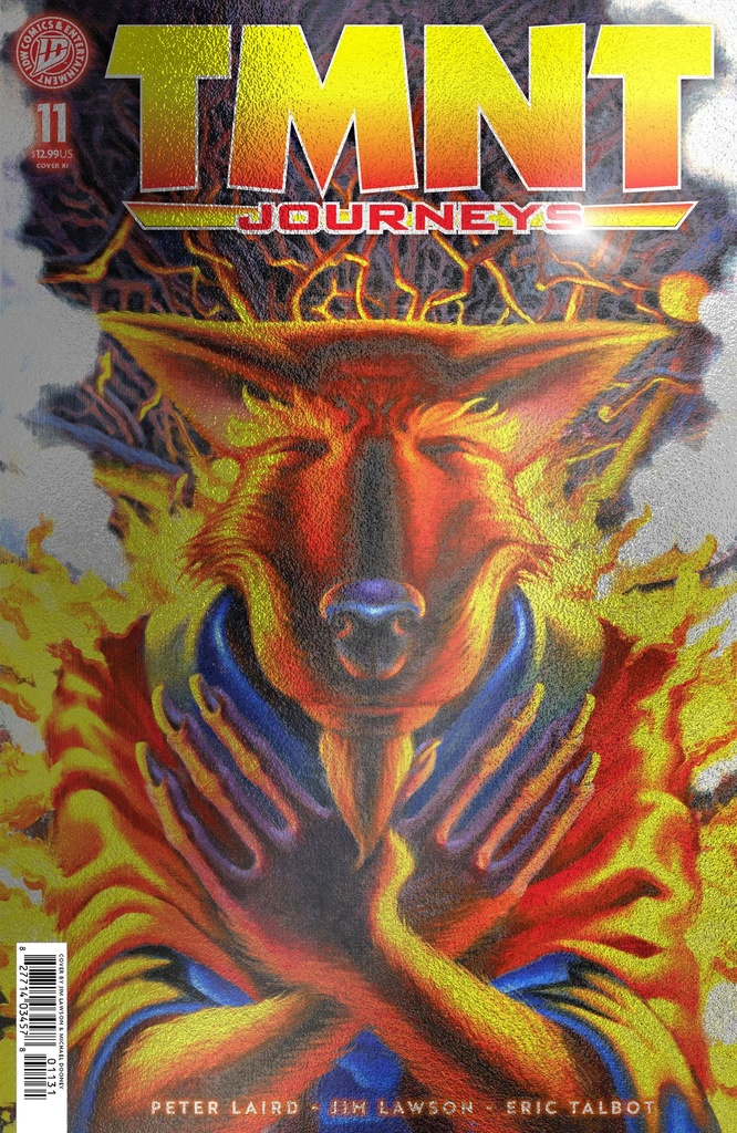 TMNT JOURNEYS 11 VAR RI (10) FOIL (DOONEY & LAWSON)