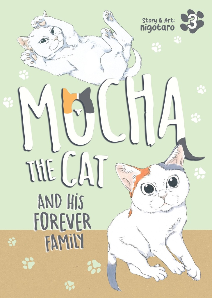 MOCHA CAT HIS FOREVER FAMILY 3