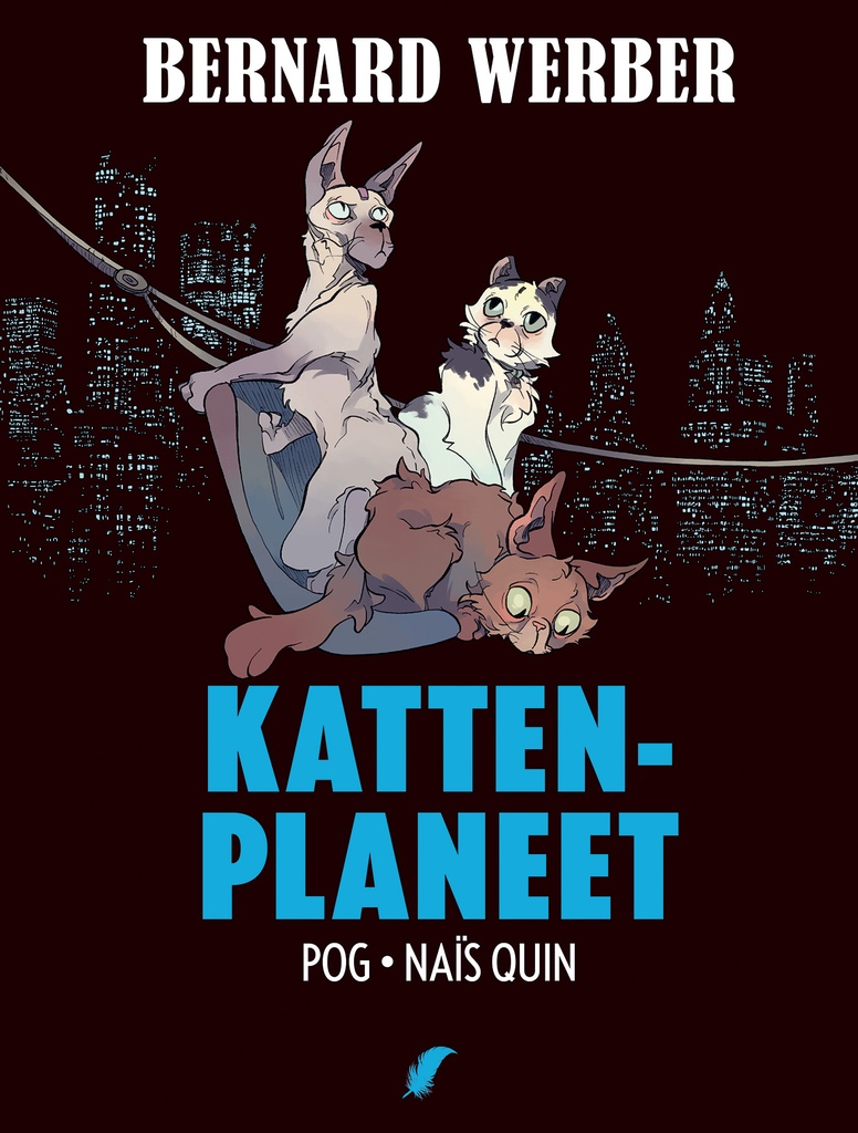 KATTEN HC - D03