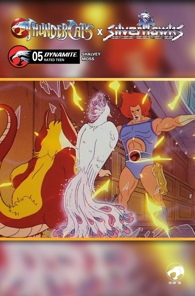 THUNDERCATS X SILVERHAWKS 5 CVR E ANIMATION ART VAR