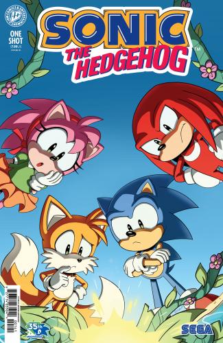 SONIC THE HEDGEHOG 35TH ANNIVERSARY RI (15) (HERNANDEZ)