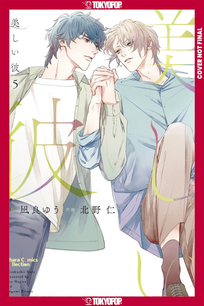 MY BEAUTIFUL MAN VOLUME 5 (MANGA)